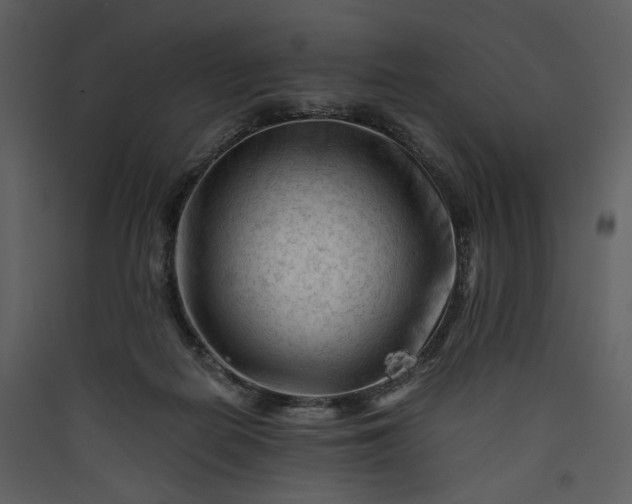 X0000089950266200707131522