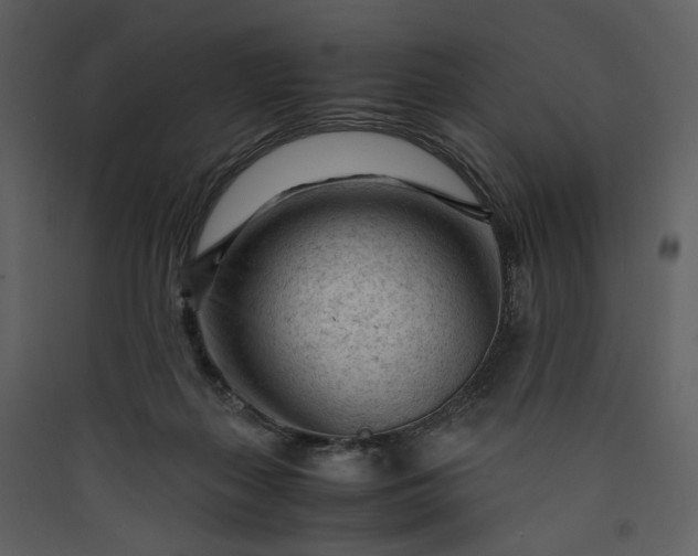 X0000089950267200707131522