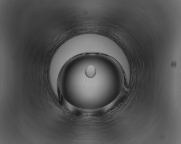 X0000089950268200707131522
