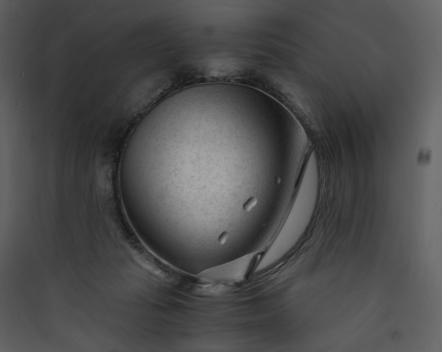 X0000089950269200707131522