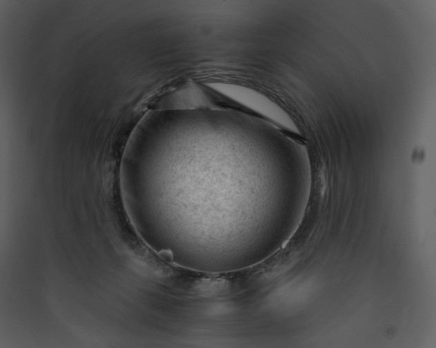 X0000089950271200707131522