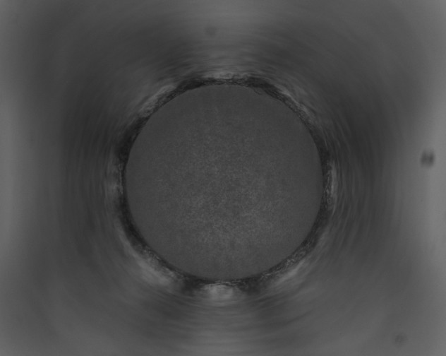 X0000089950272200707131522