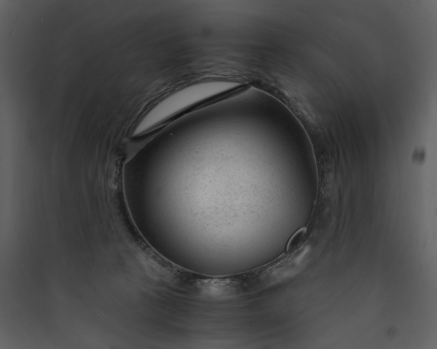X0000089950273200707131522