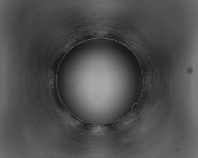 X0000089950274200707131522