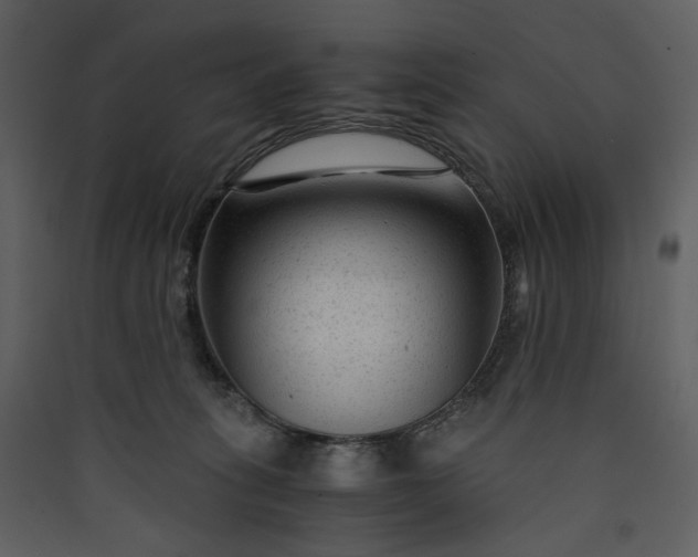 X0000089950275200707131522