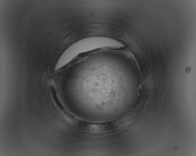 X0000089950277200707131522