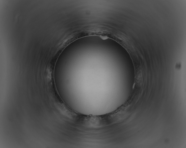 X0000089950282200707131522