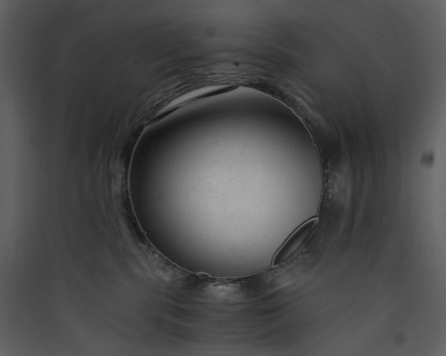 X0000089950283200707131522