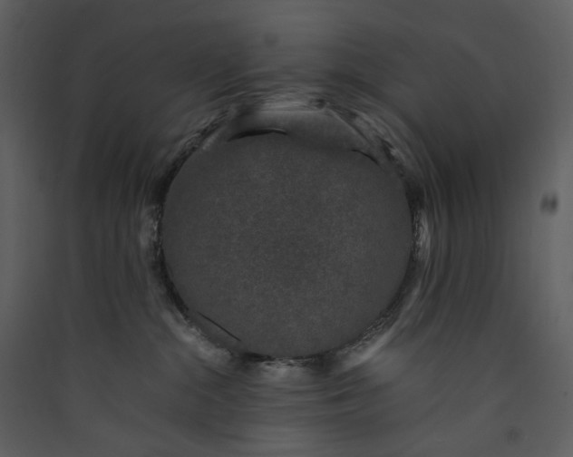 X0000089950284200707131522