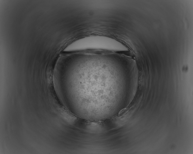 X0000089950285200707131523