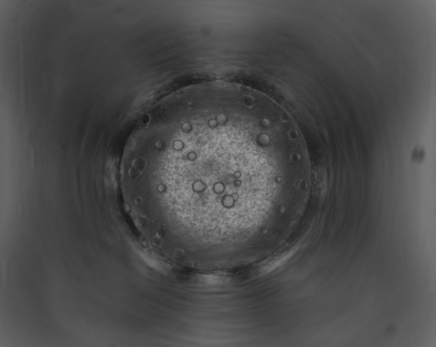 X0000089950286200707131523