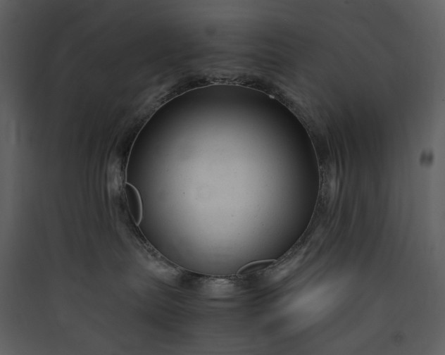 X0000089950287200707131523