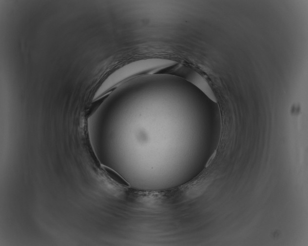 X0000089950288200707131523