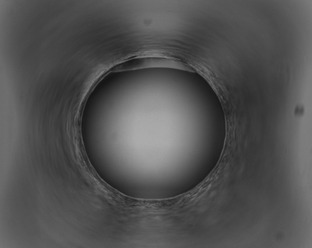 X0000089950289200707131522