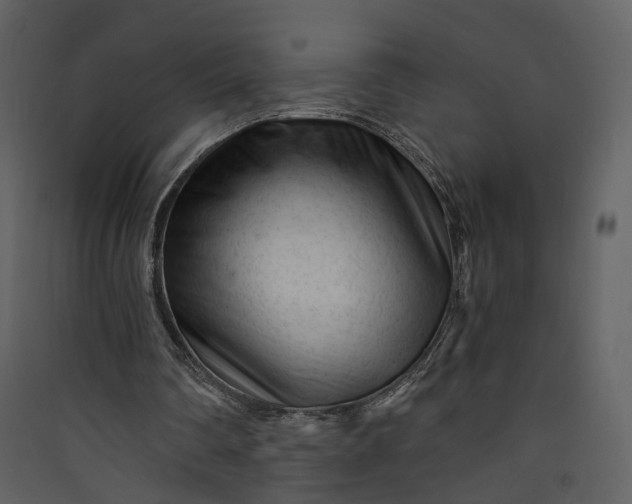 X0000089950290200707131522