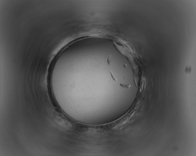 X0000089950292200707131522
