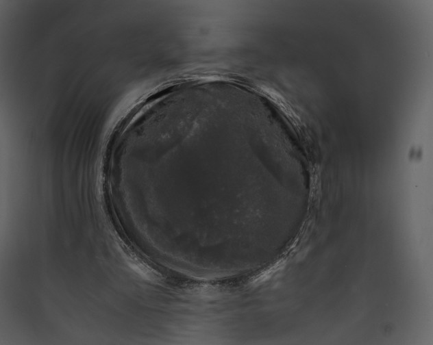 X0000089950293200707131522