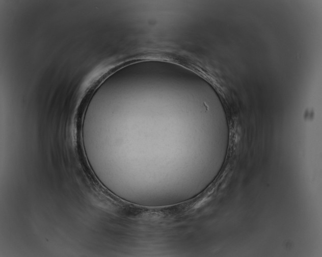X0000089950294200707131522