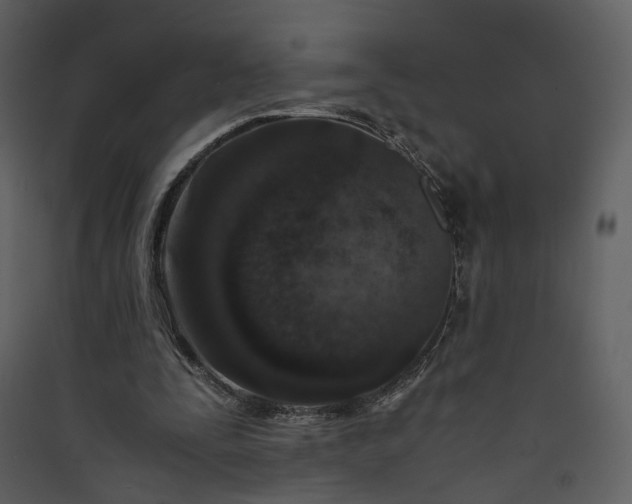 X0000089950295200707131522