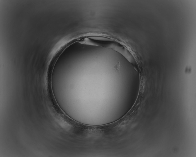 X0000089950296200707131522