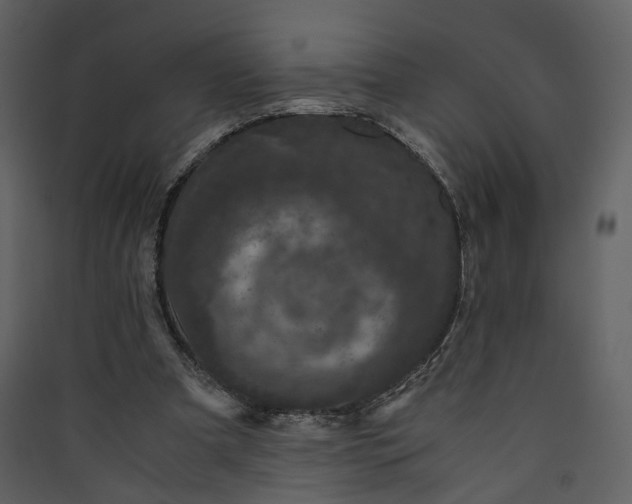 X0000089950297200707131522