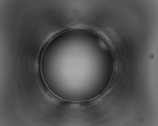 X0000089950298200707131522
