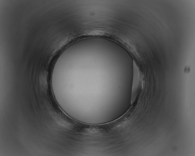X0000089950300200707131522