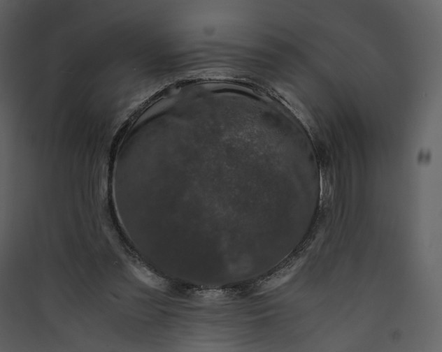 X0000089950301200707131522