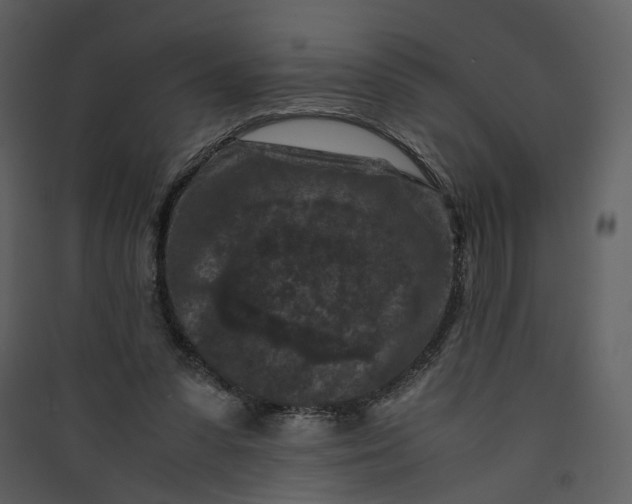 X0000089950303200707131522