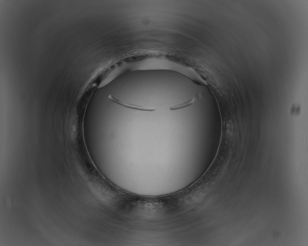 X0000089950304200707131522