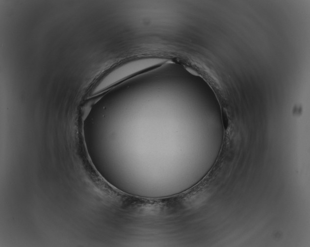 X0000089950306200707131522