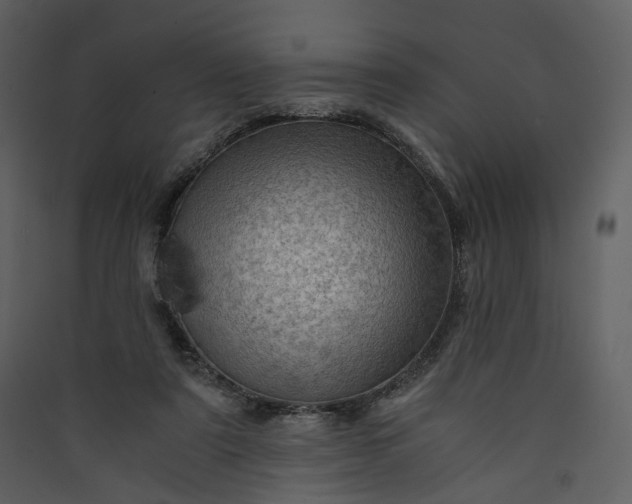 X0000089950307200707131522
