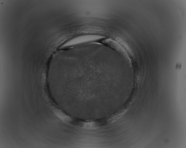 X0000089950309200707131522