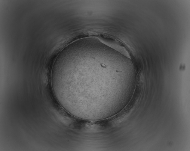X0000089950311200707131521