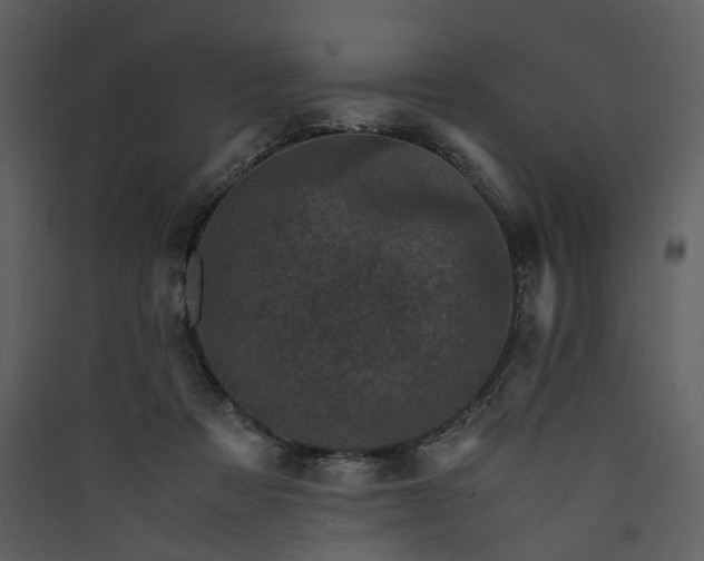 X0000089950313200707131521