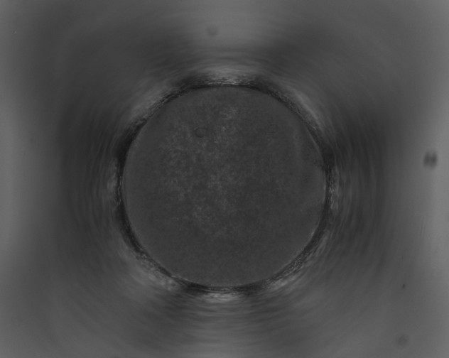 X0000089950314200707131521