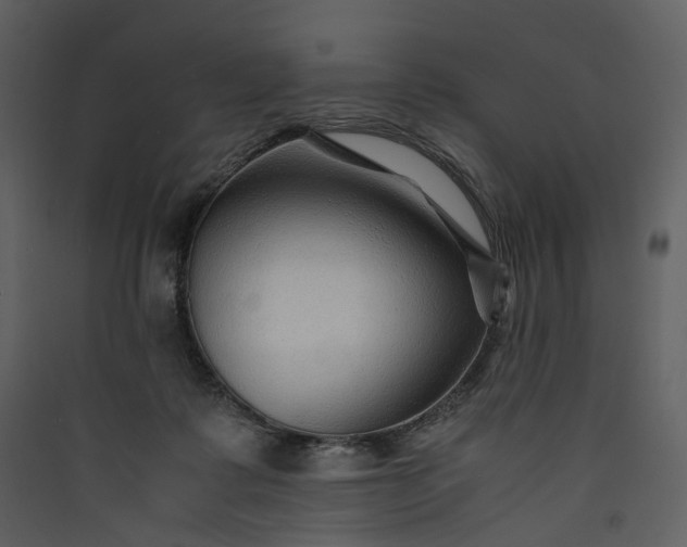X0000089950315200707131521