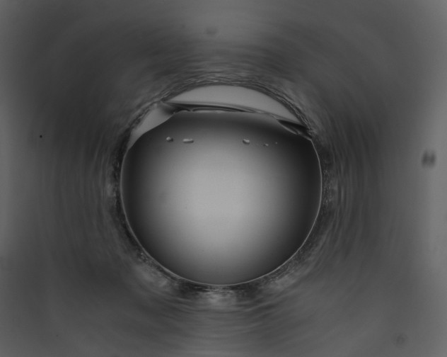 X0000089950317200707131521