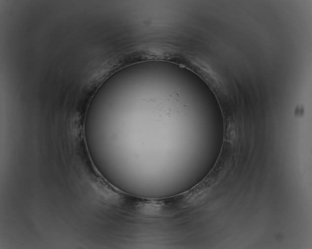 X0000089950318200707131521