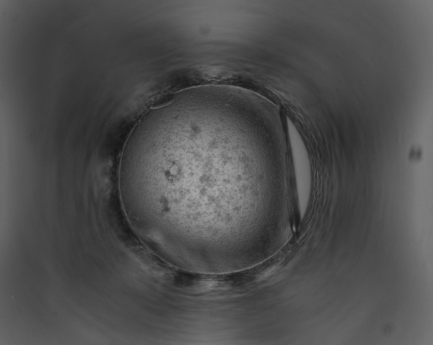 X0000089950319200707131521