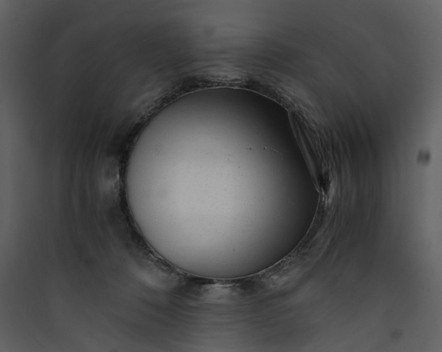 X0000089950320200707131521