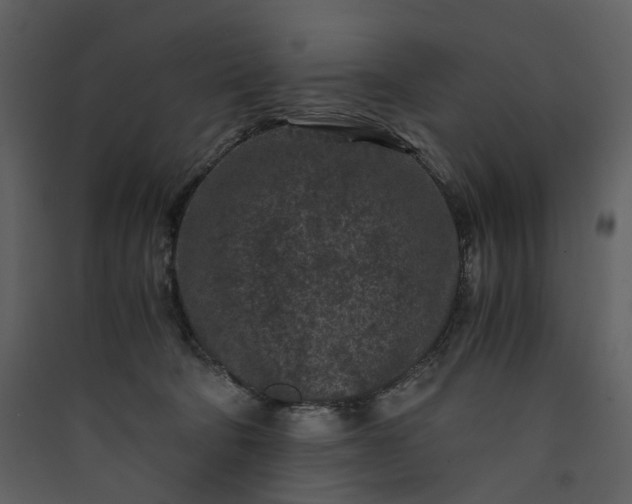 X0000089950322200707131521