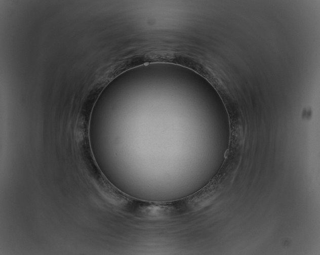 X0000089950323200707131521