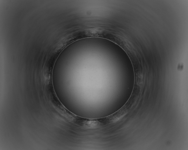 X0000089950324200707131521