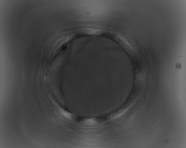 X0000089950325200707131521