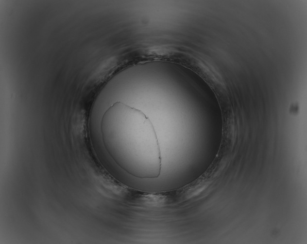 X0000089950328200707131521