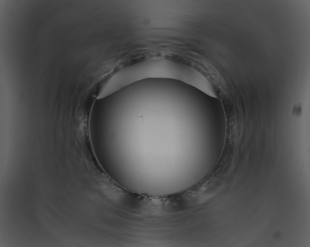 X0000089950329200707131521