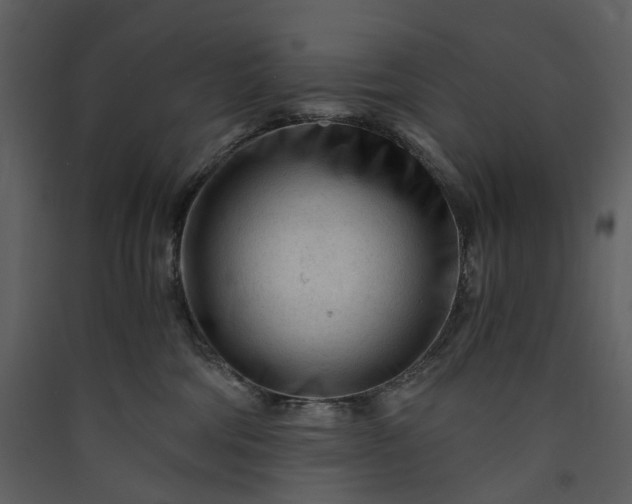 X0000089950330200707131521