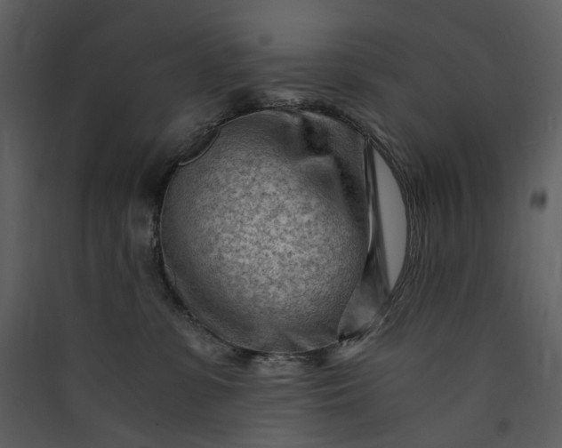 X0000089950331200707131521