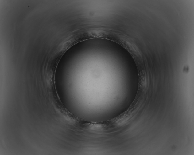X0000089950332200707131521